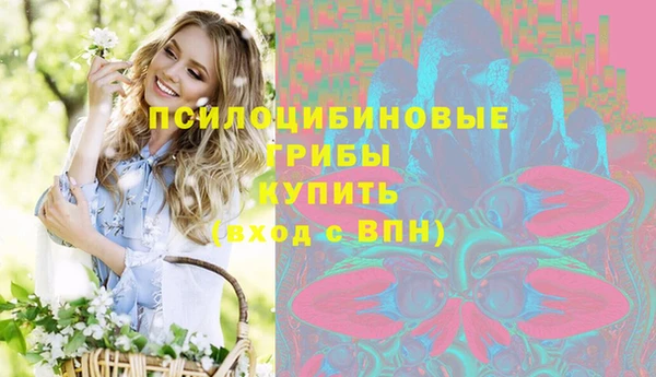 герыч Мегион