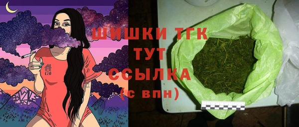 герыч Мегион
